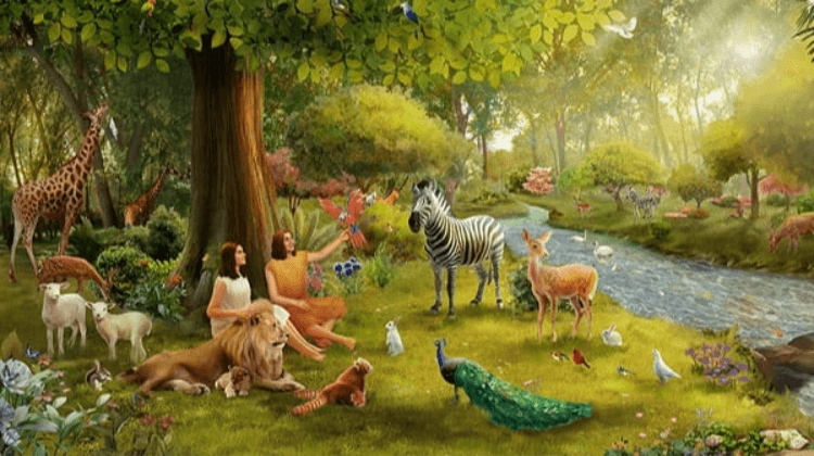The Creation